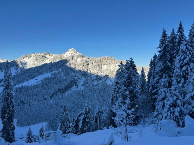 IMG-20250216-WA0004