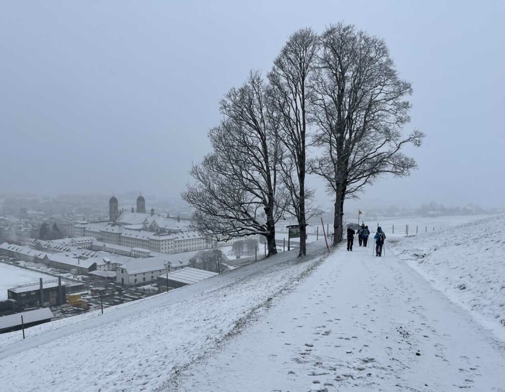 Wandern Umgebung Einsiedeln  (W/C/T1) Elisabeth Kühne