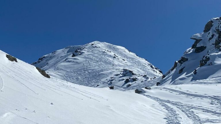 IMG-20250319-WA0017