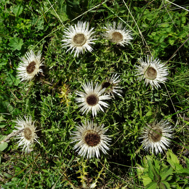 028