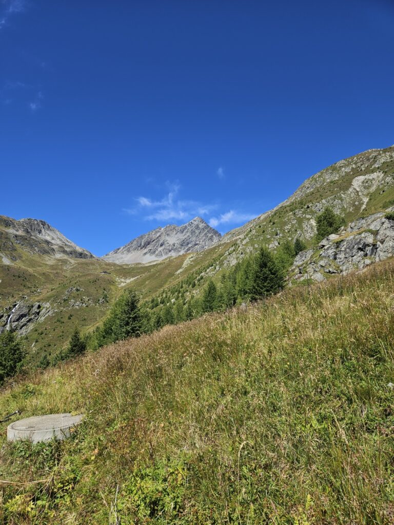 Piz Linard (3410m) (H/B/WS, 2a) Sebastian Steiner
