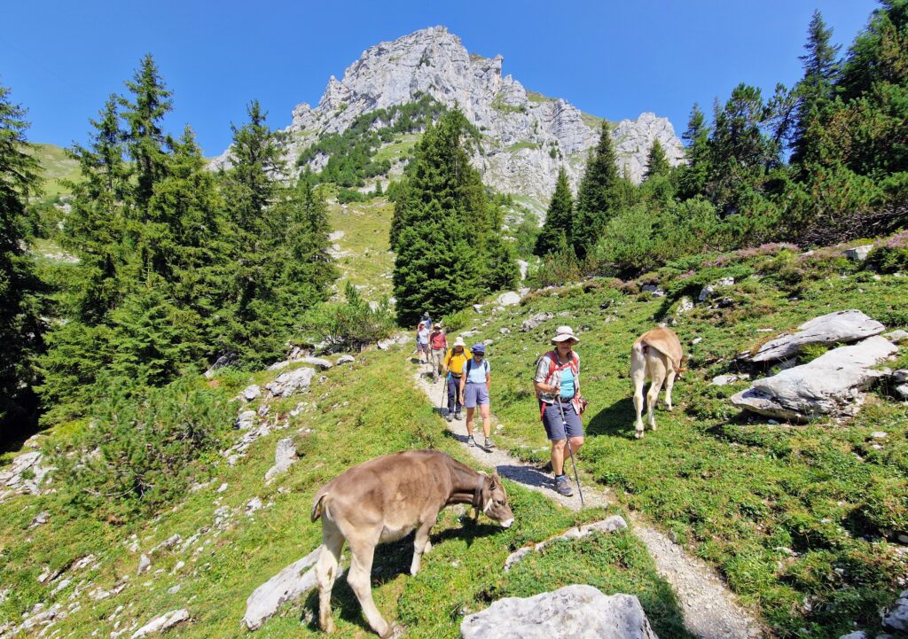 Lidernenhütte – Hagelstock 2181m – Eggberge (W/B/WS) Jörg Schwarz