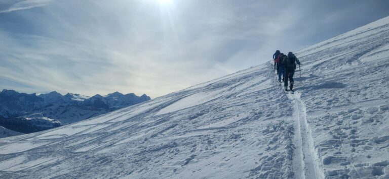 IMG-20260209-WA0008