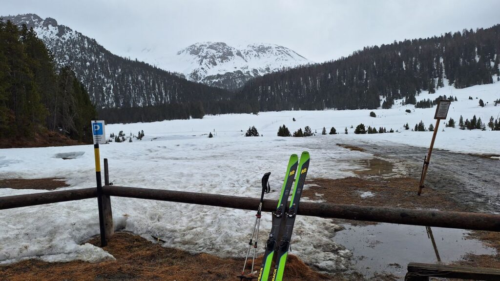 Pass dal Fuorn 2148 m. TW (S/B/WS) Franco Poletti
