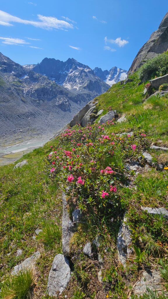 Hüttenhock Albignahütte (CL/C) Hansruedi Bachmann