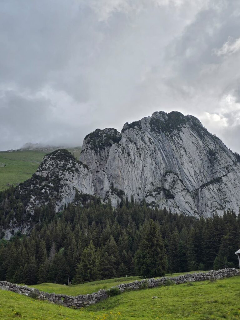 Unsere Kante im Blickfeld