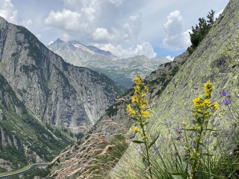 05_Blick Richtung Göschenertal