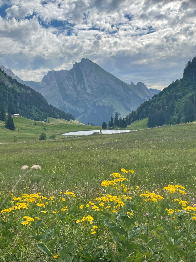 Am Gräpelensee vorbei