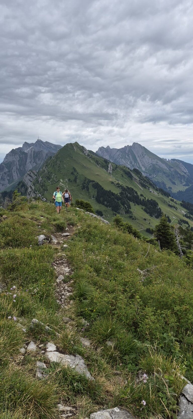 Der Weg
