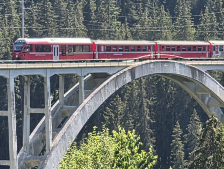 IMG-20260730-WA0004