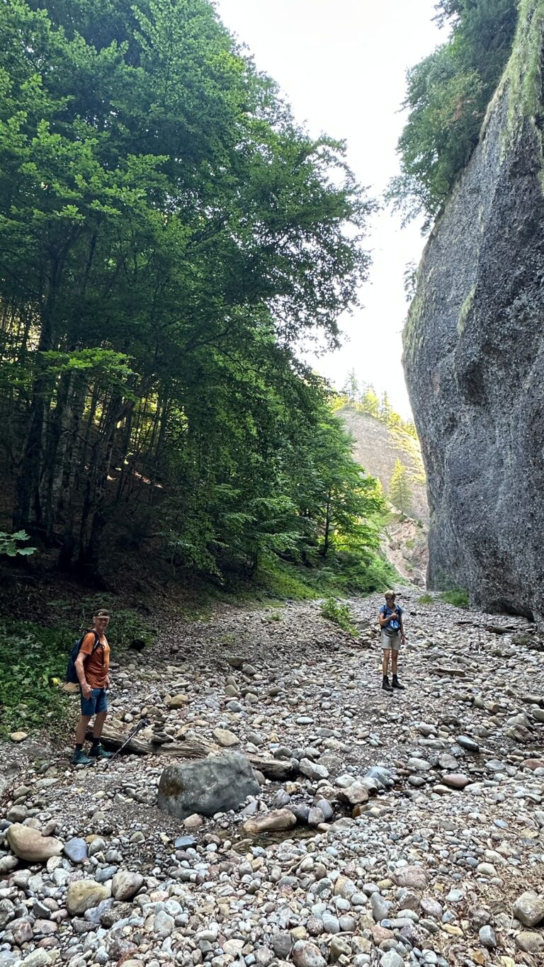 in der kühlen Schlucht