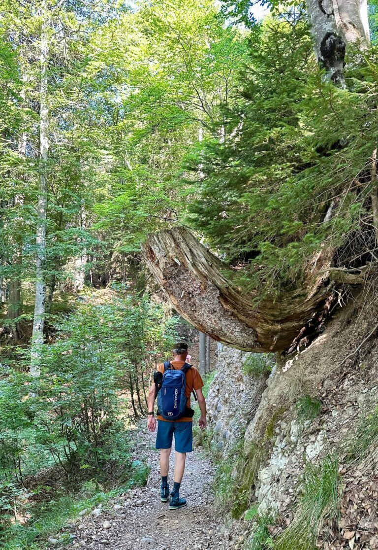 urchiger Weg