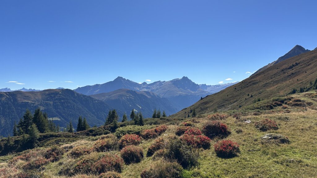 Auf dem Walserweg im Safiental – von Versam nach Splügen TW BGF (W/B/T2 – T3) Franco Rogantini