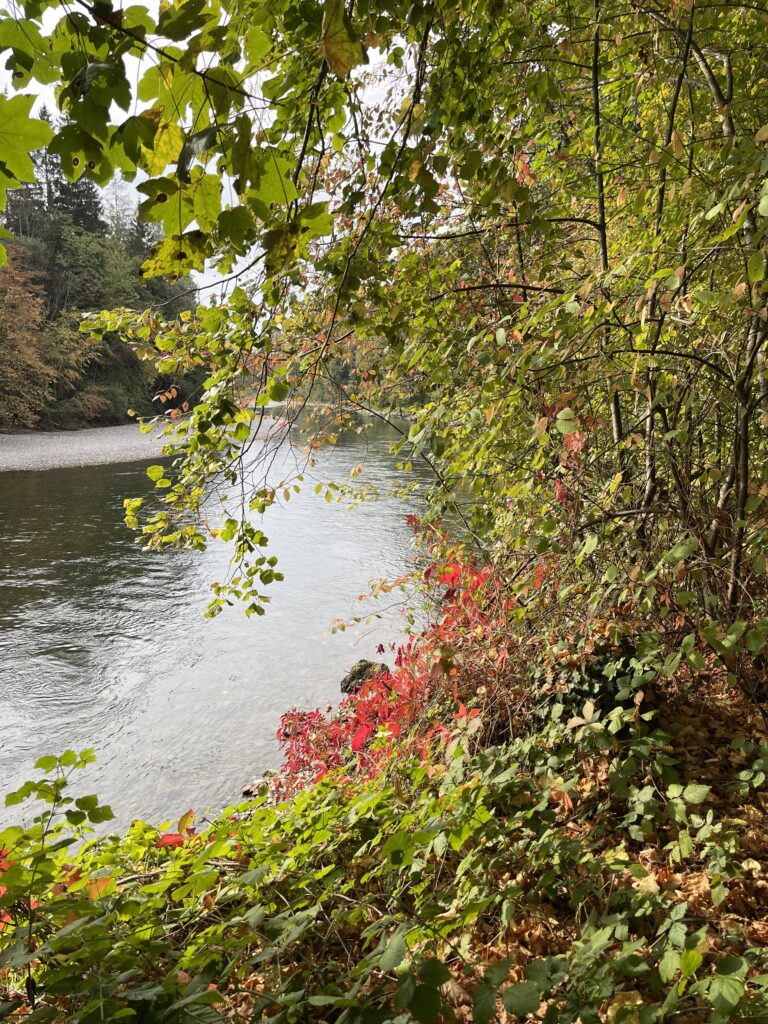 Um die Engehalbinsel (Aare), Bern (W/B/T1) Agnes Isenschmid